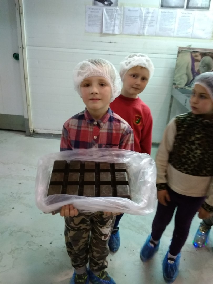 В стране шоколада