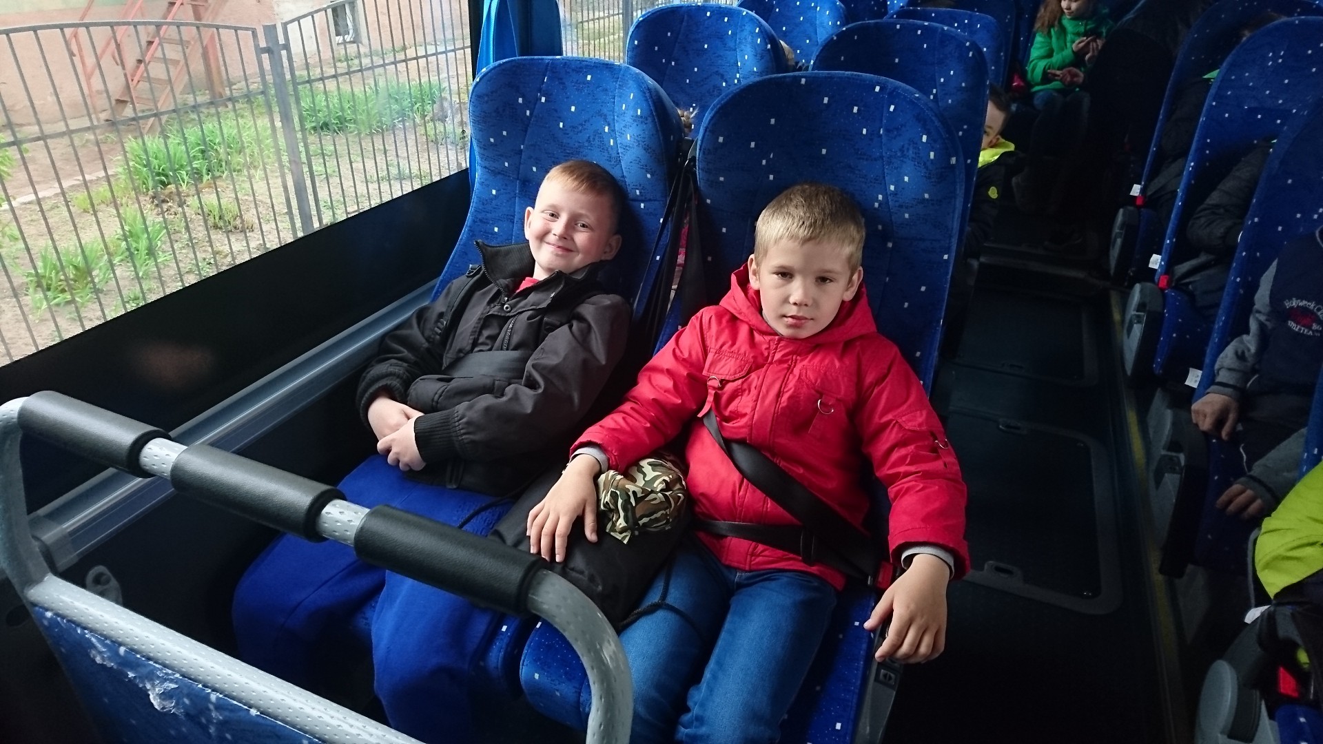 В стране шоколада
