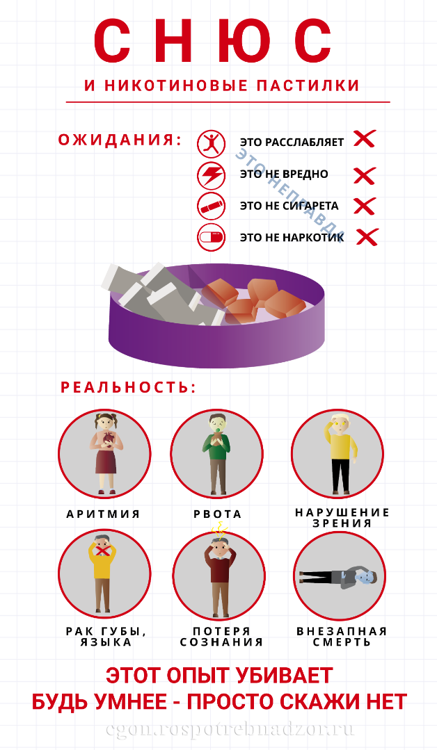 Инфографика "СНЮС и никотиновые пастилки"