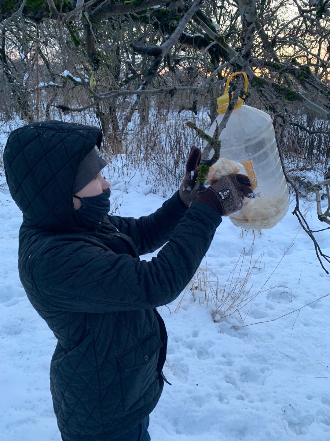 Поможем зимующим птицам!