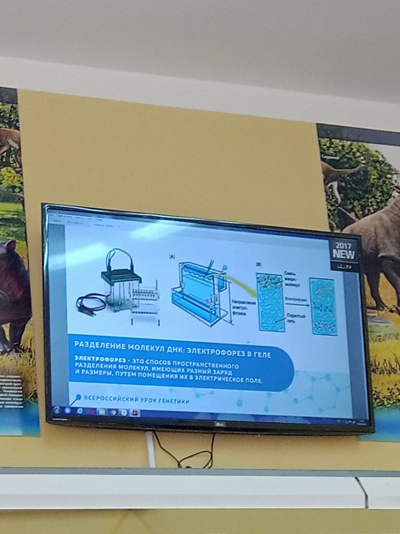 #УрокГенетики