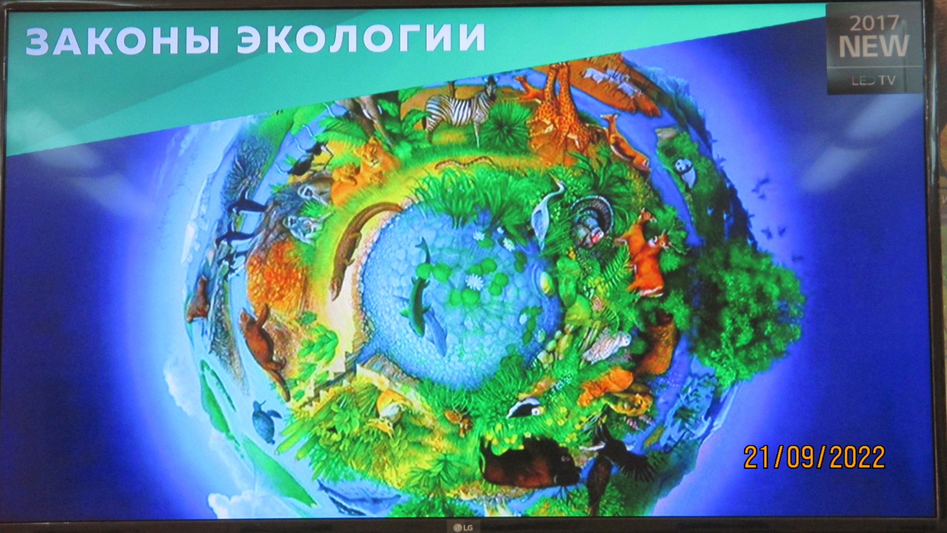 Эколята – молодые защитники природы