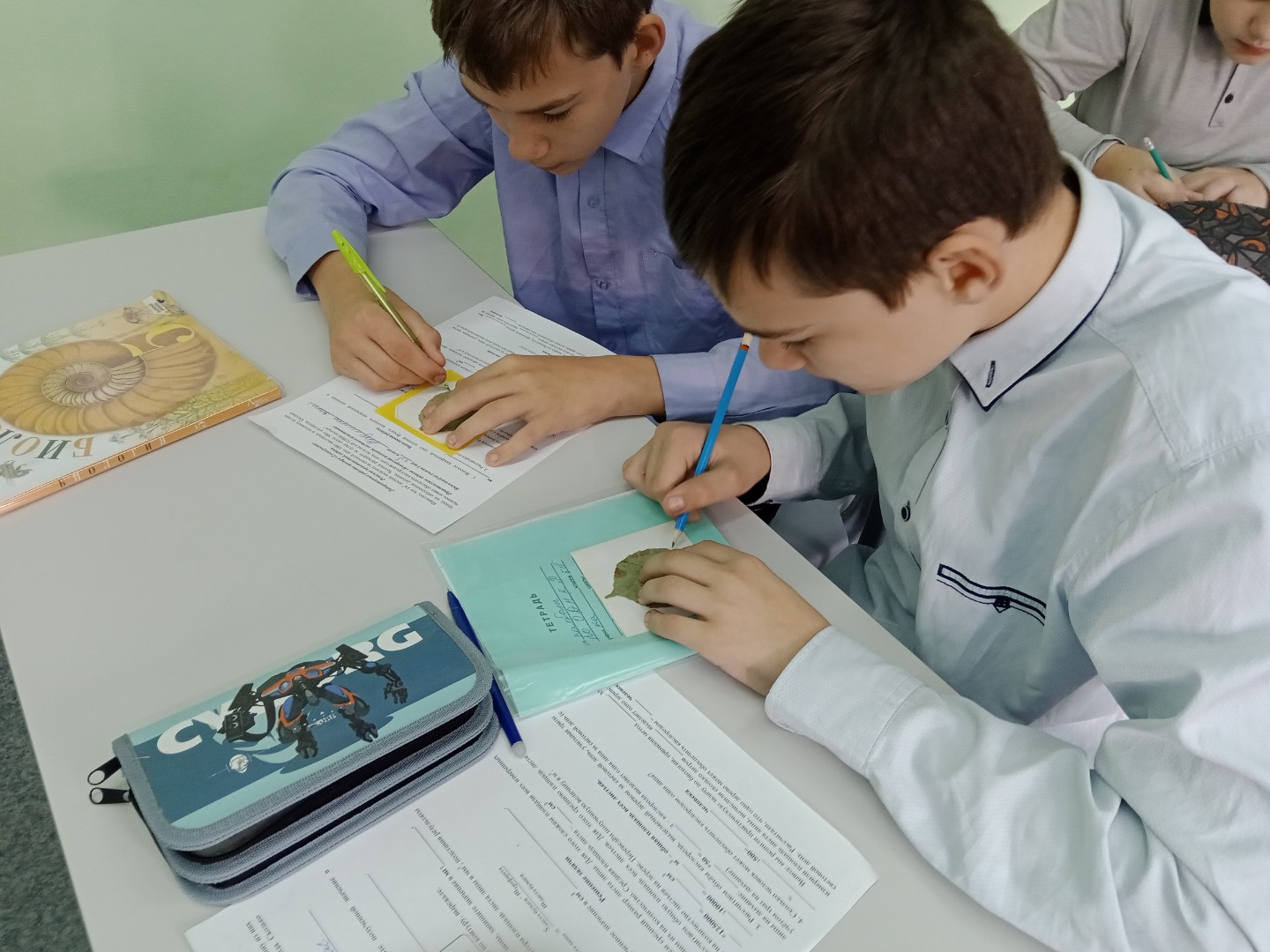 Лабораторные практикумы по биологии в 5 и 6 классах