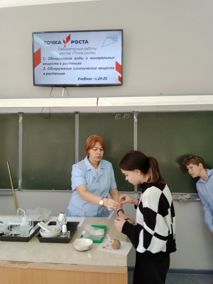Лабораторные практикумы по биологии в 5 и 6 классах