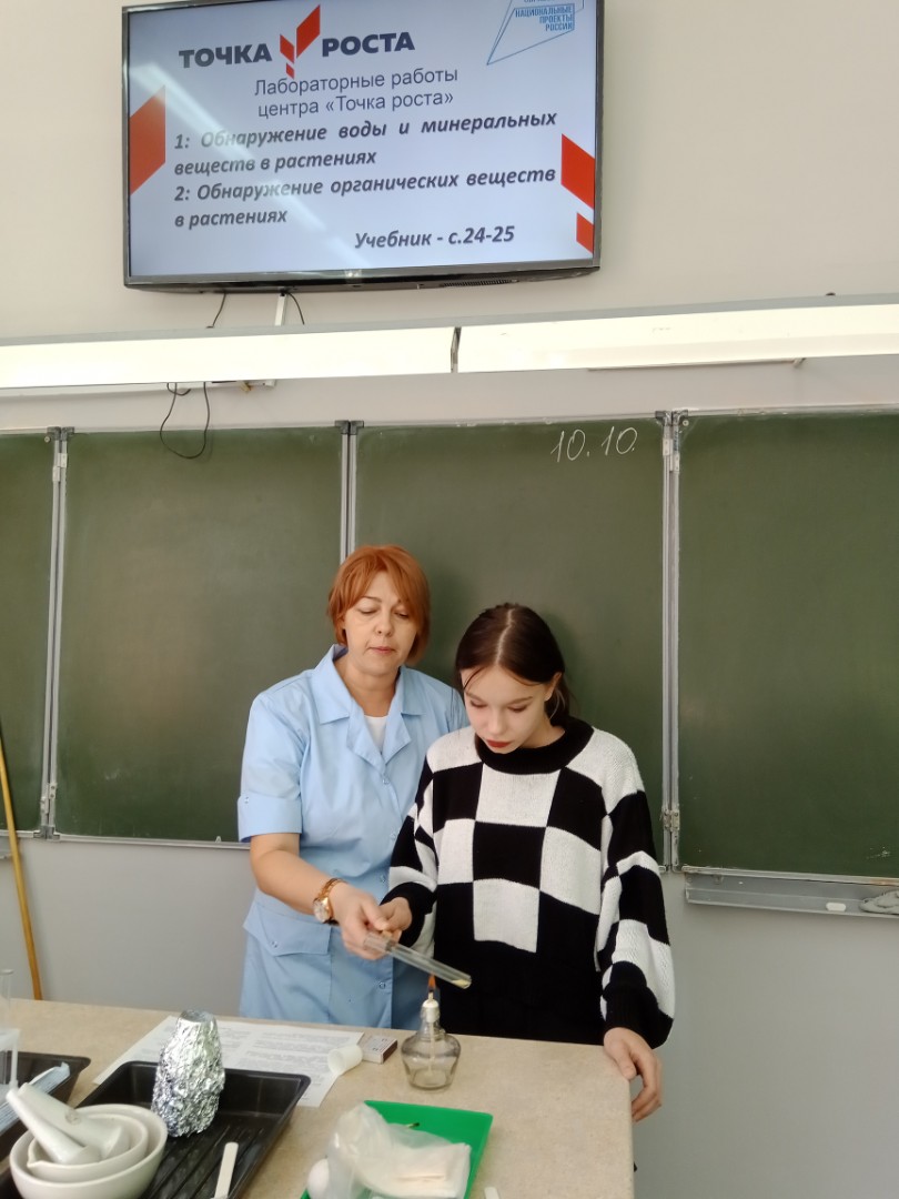 Лабораторные практикумы по биологии в 5 и 6 классах