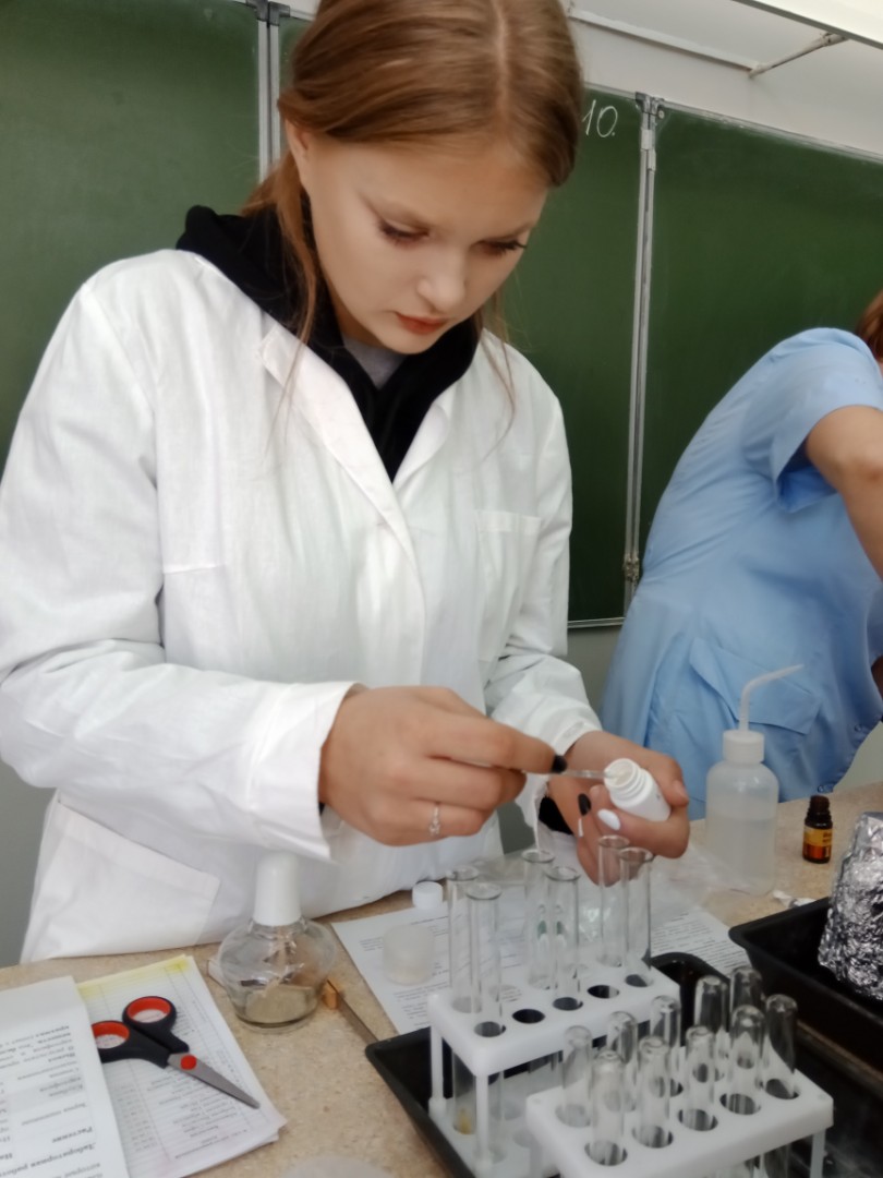 Лабораторные практикумы по биологии в 5 и 6 классах