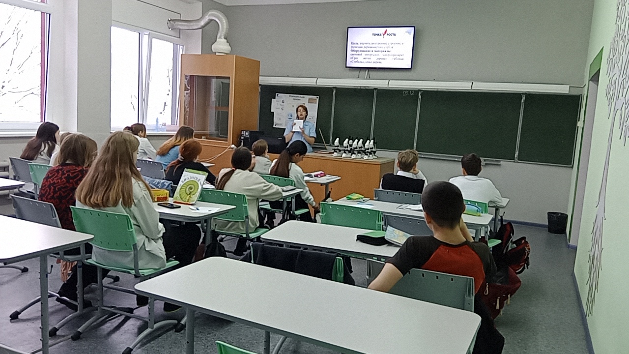 Изучение микроскопического строения ветки дерева (на готовом микропрепарате)