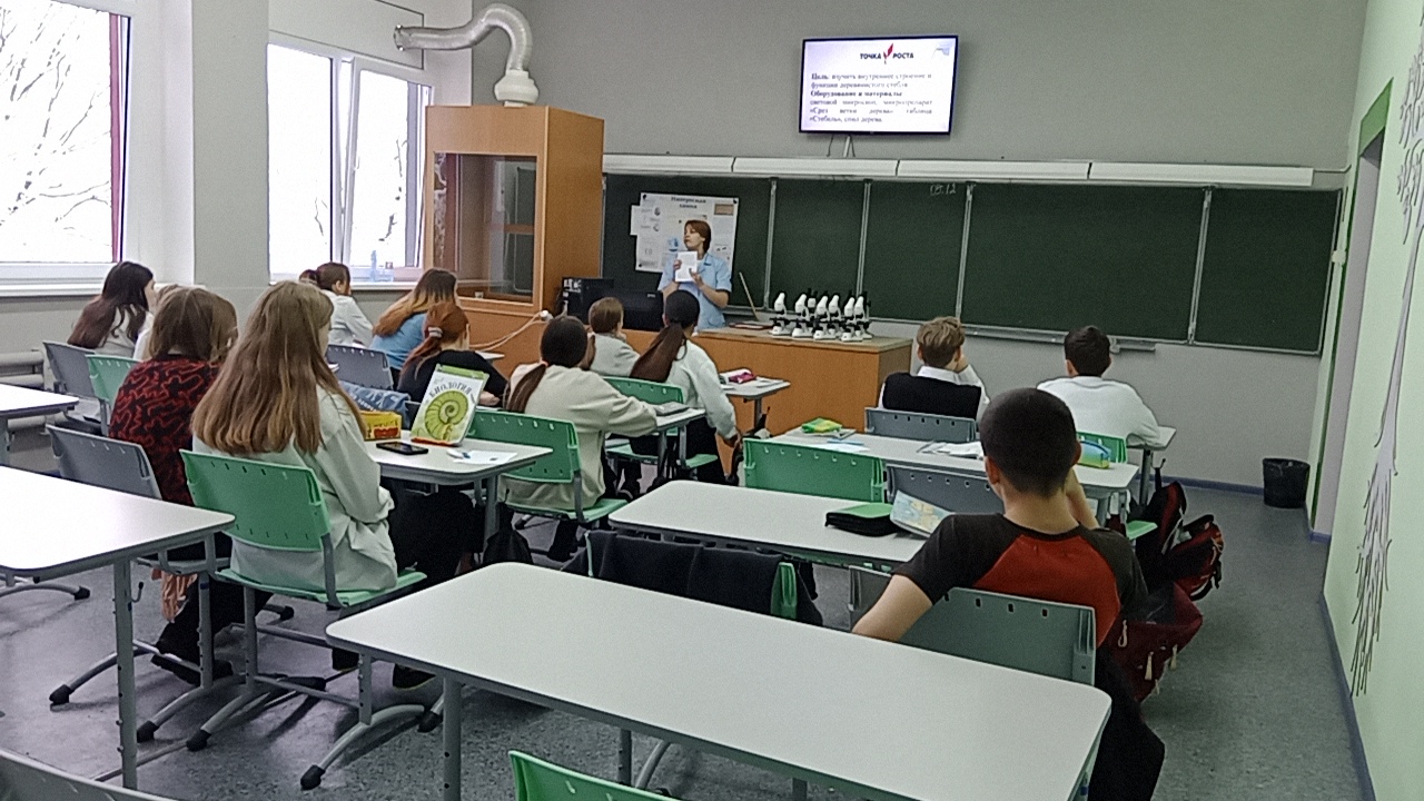 Изучение микроскопического строения ветки дерева (на готовом микропрепарате)