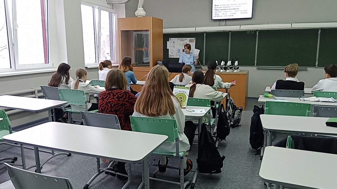 Изучение микроскопического строения ветки дерева (на готовом микропрепарате)