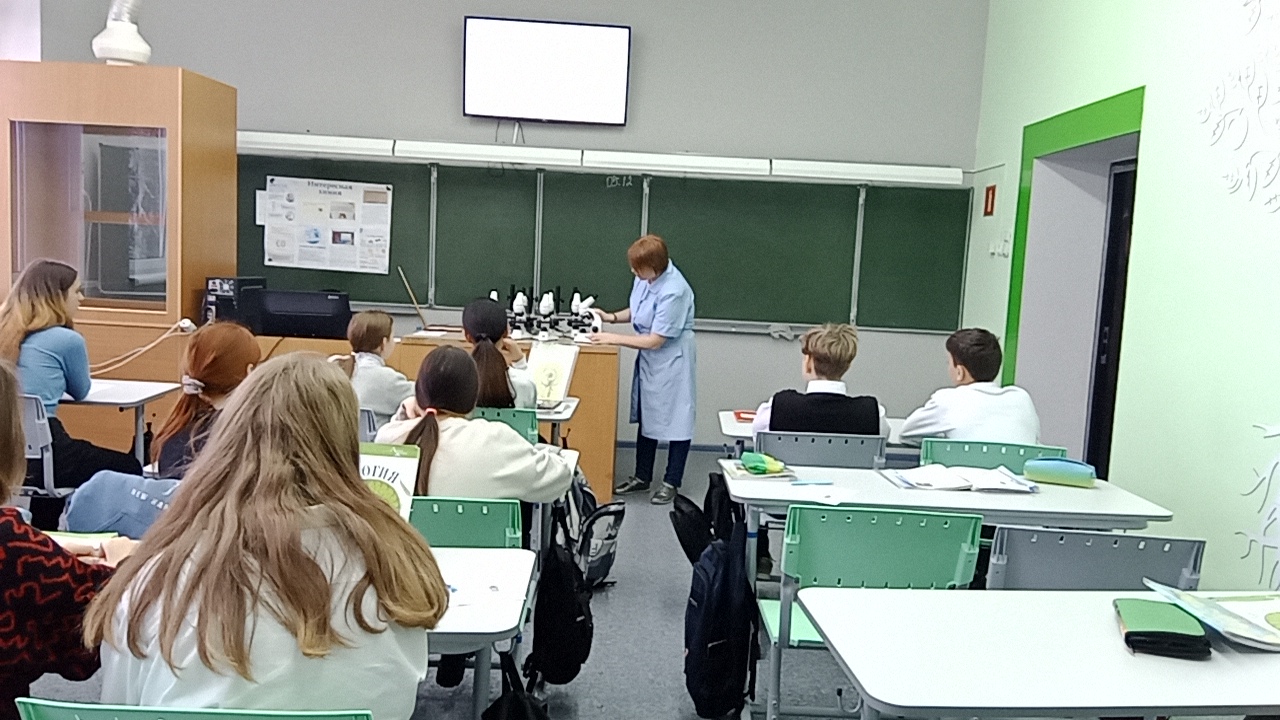 Изучение микроскопического строения ветки дерева (на готовом микропрепарате)