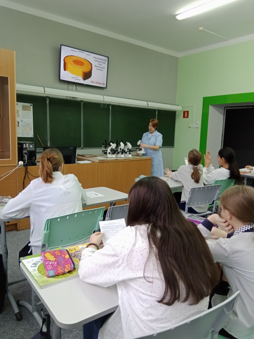 Изучение микроскопического строения ветки дерева (на готовом микропрепарате)