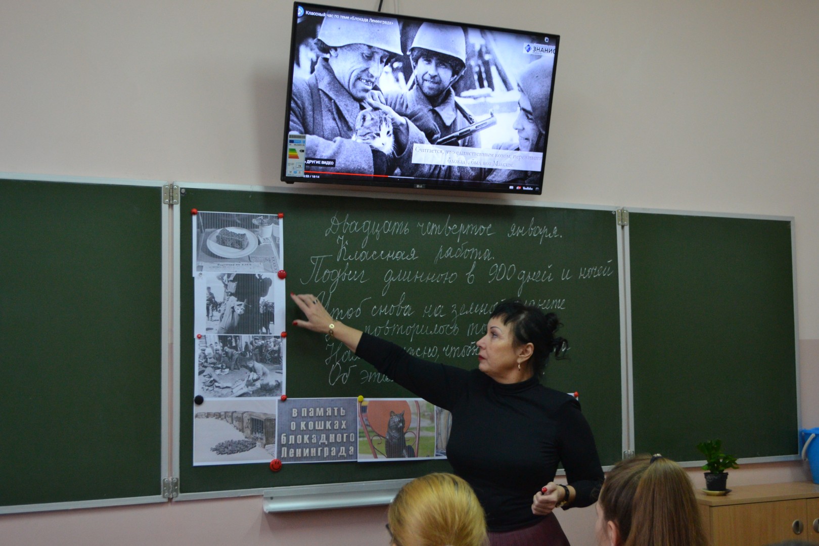Ленинградские коты. Классный час в 9Б