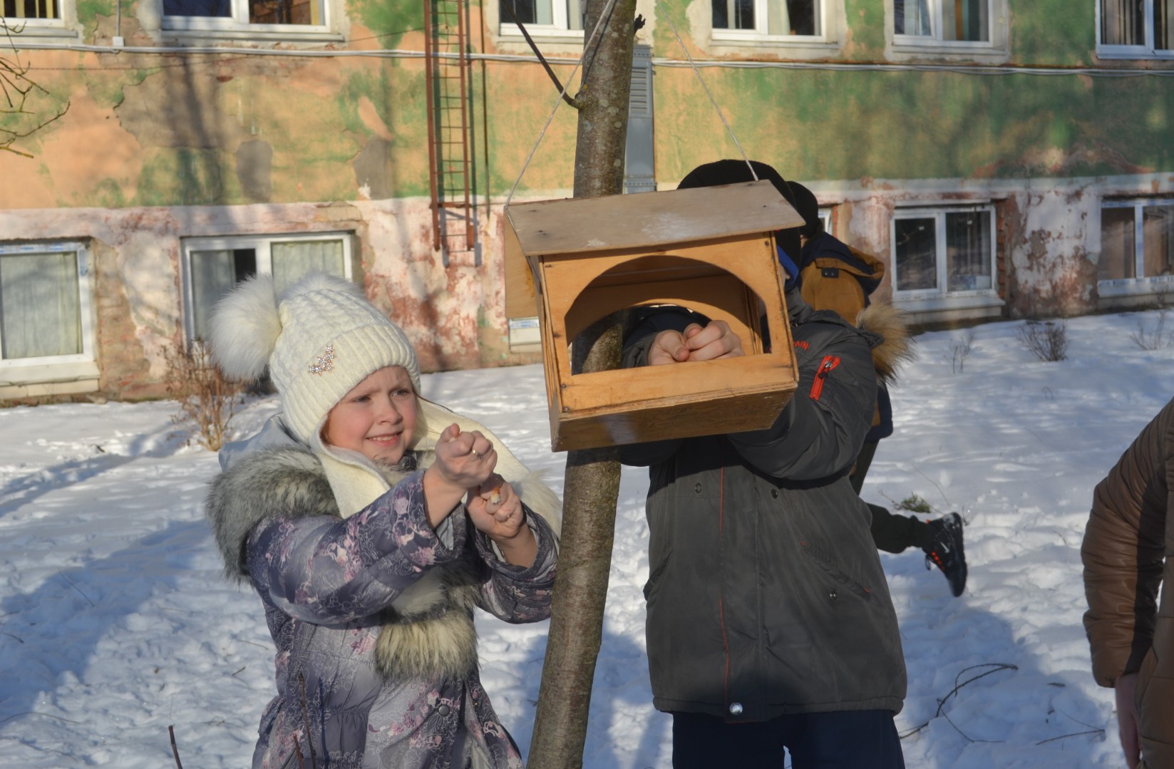 Как малыши птичек кормили