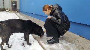 Доброе сердце