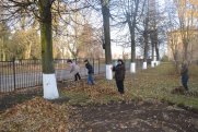 Субботник в рамках Всероссийской акции «100 000 добрых дел»