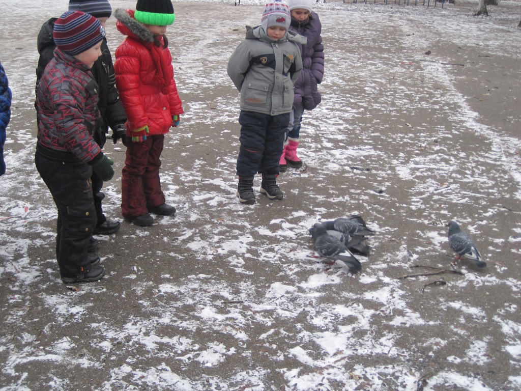 IMG_0925