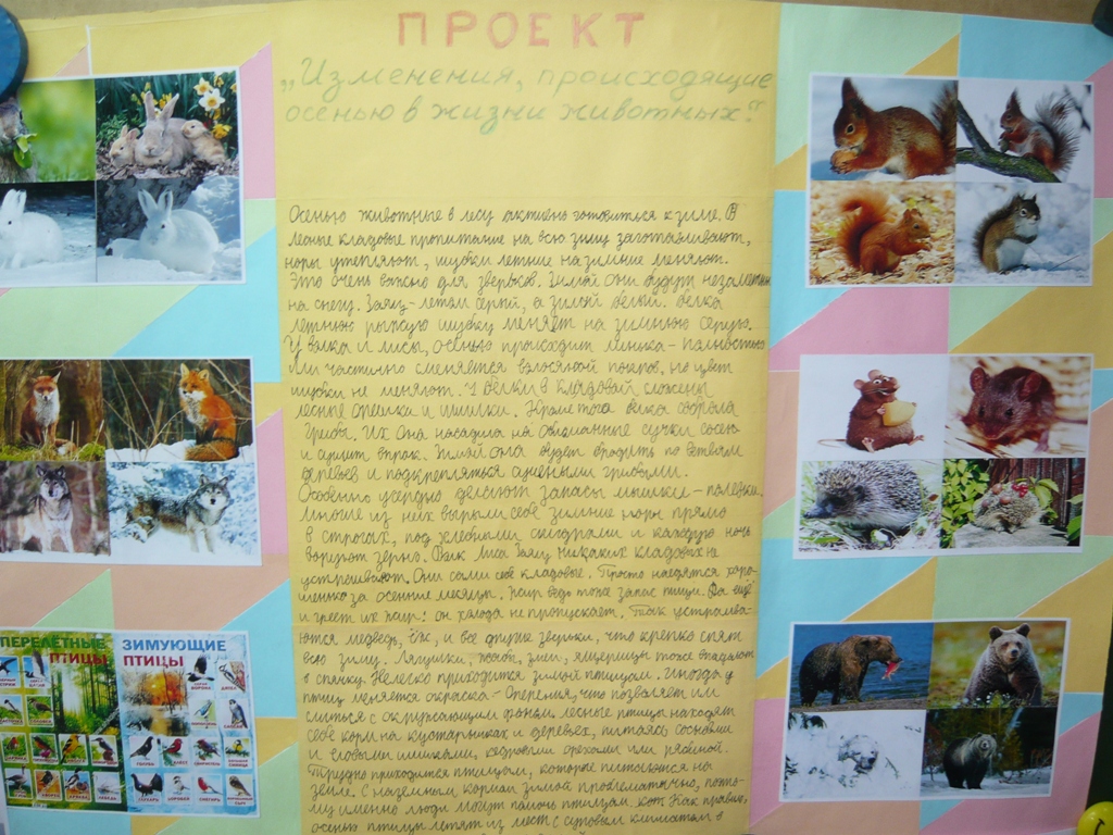 P1060030
