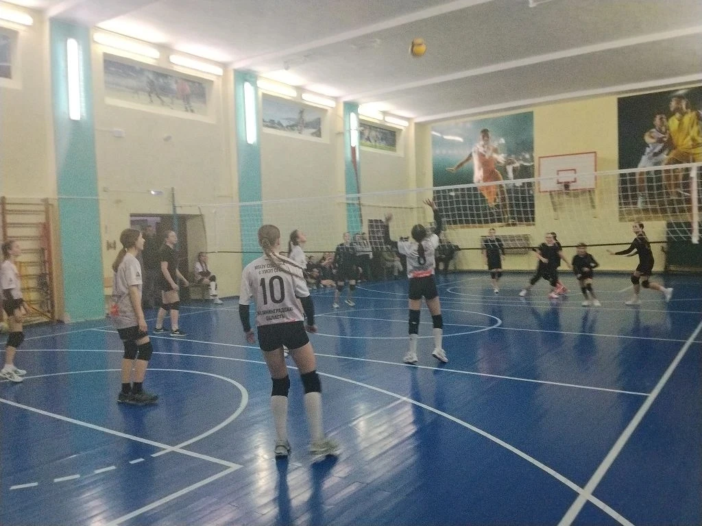 Спортивные достижения 🏆