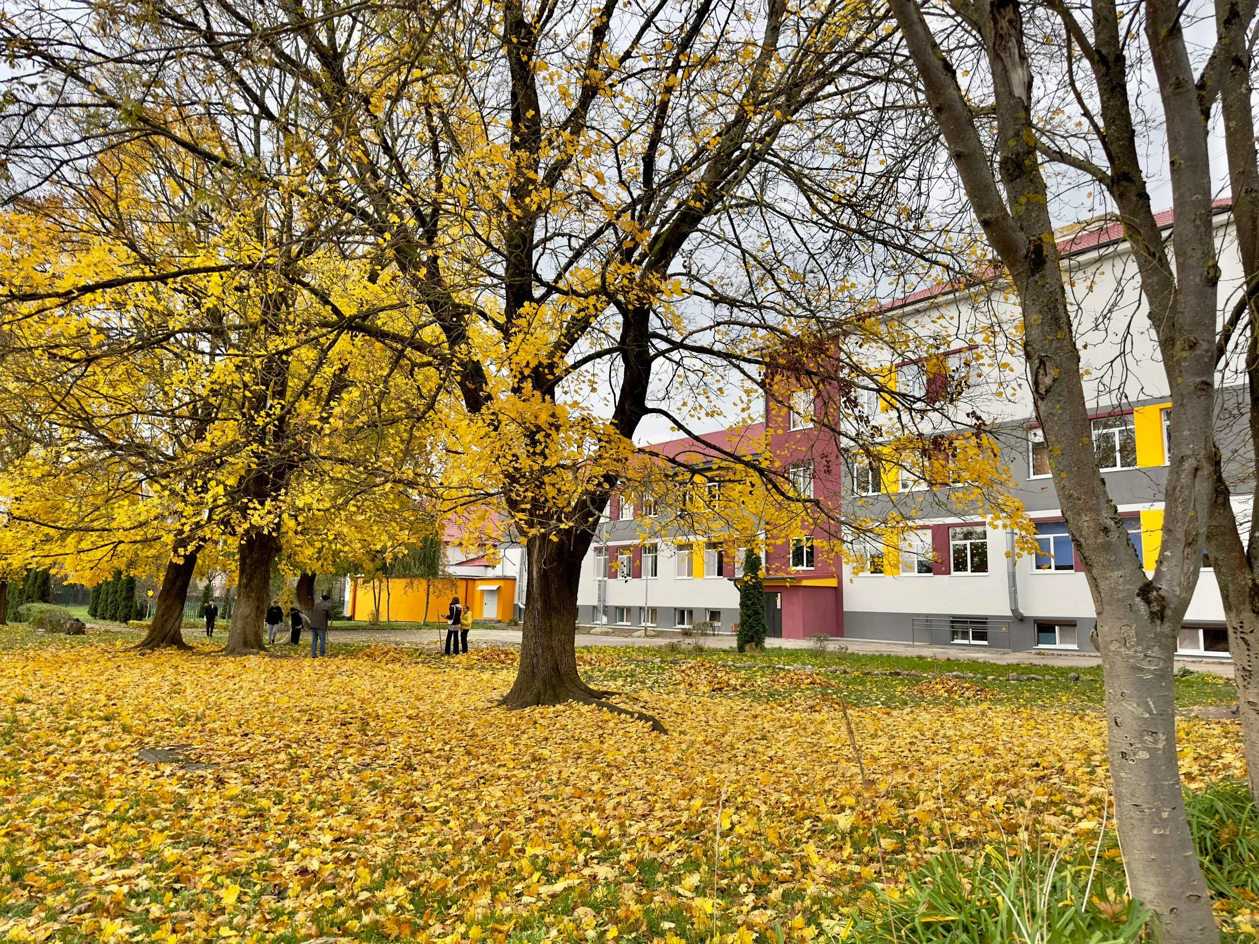 Фото школы.