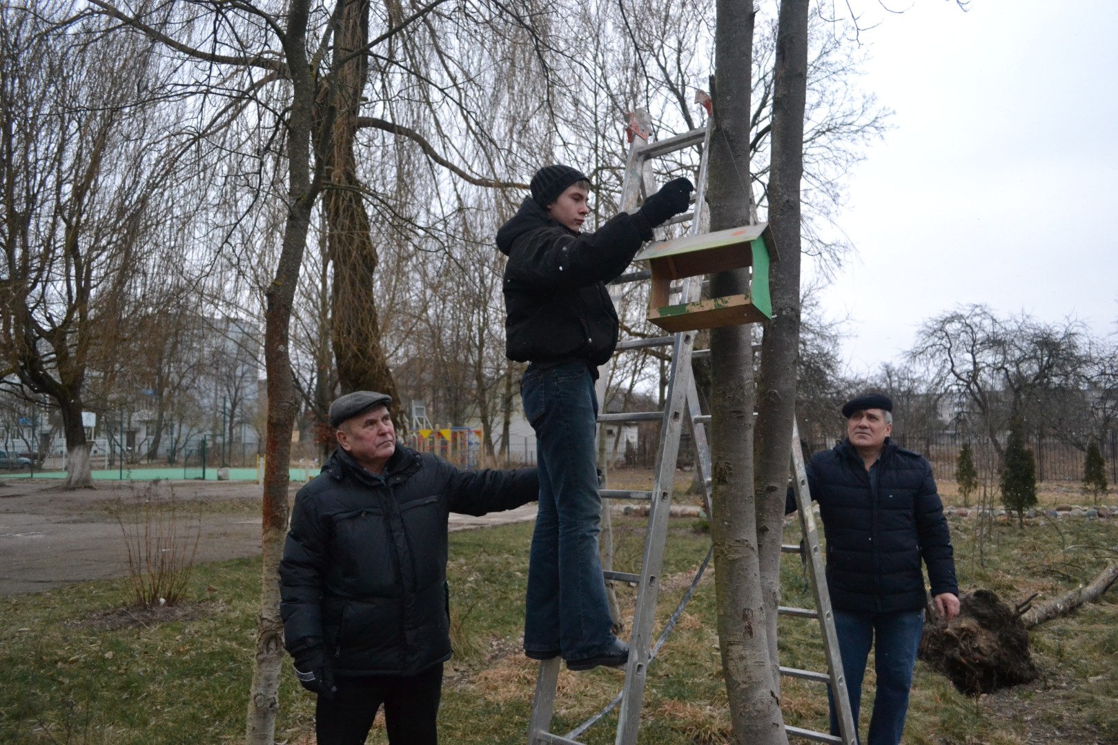 Поможем зимующим птицам