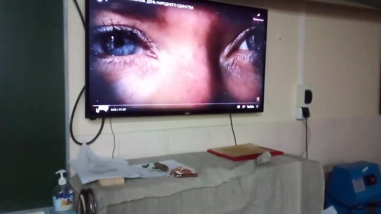 Видео от 07.11.2022
