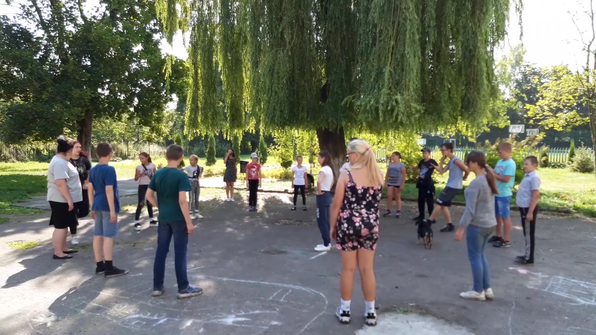 Видео от 19.08.2020