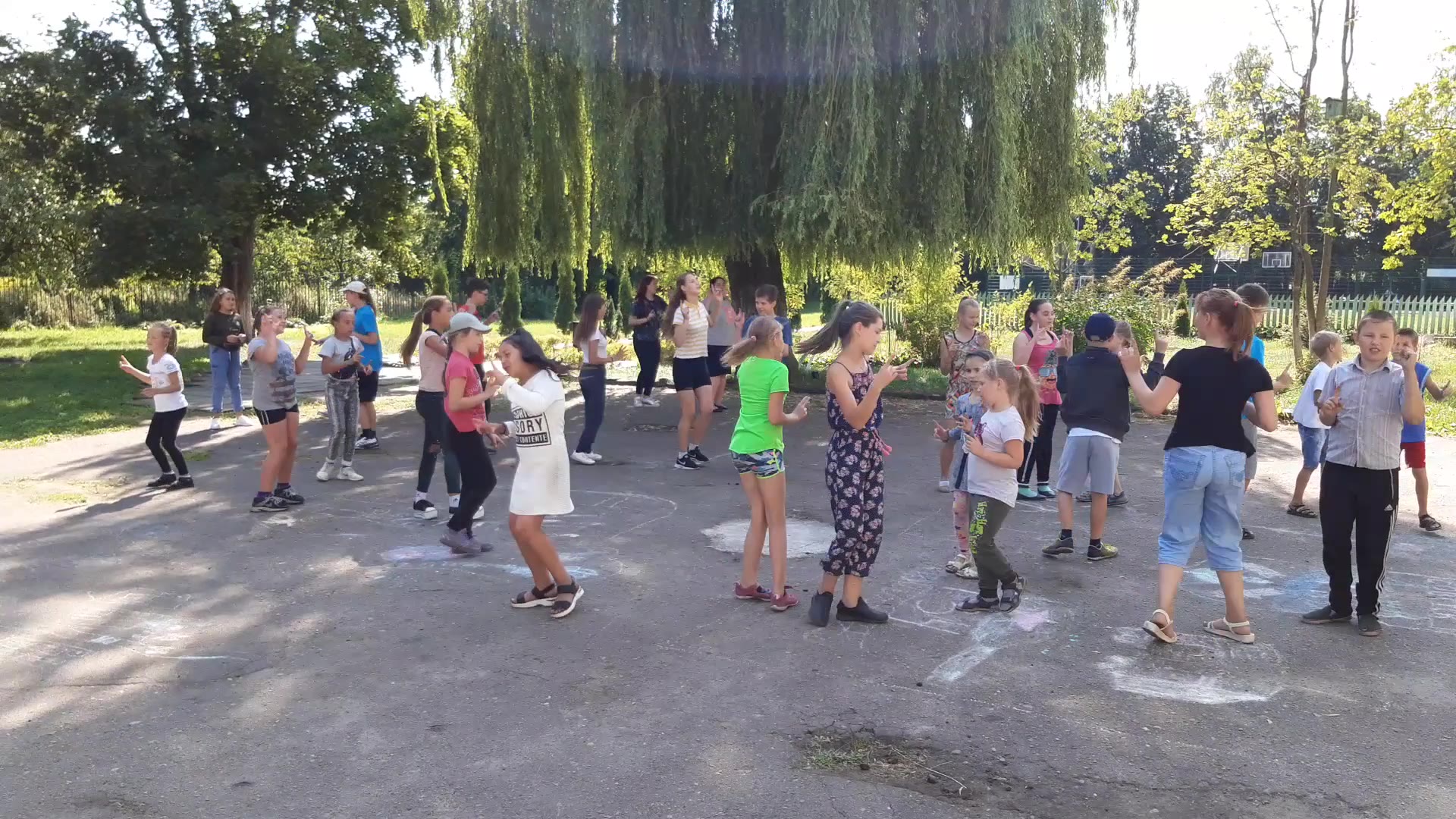 Видео от 19.08.2020