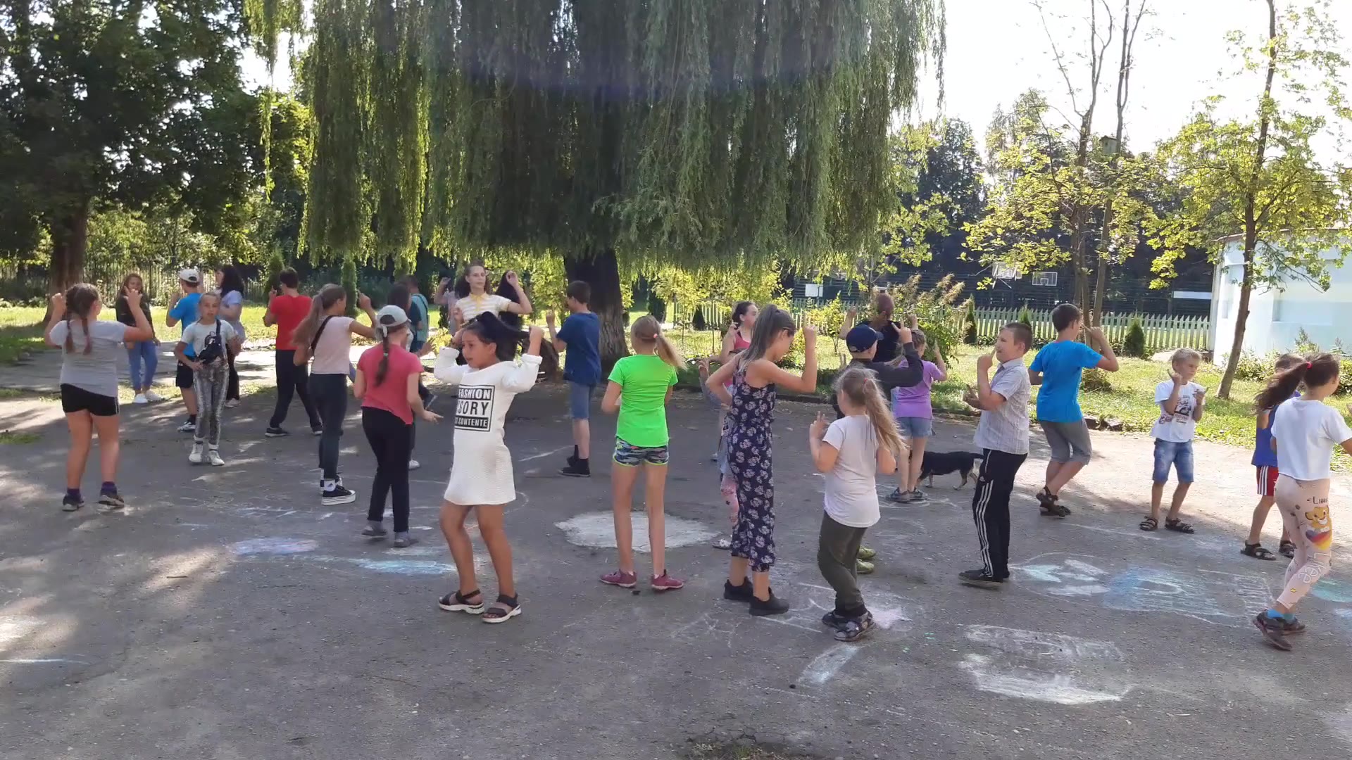 Видео от 19.08.2020