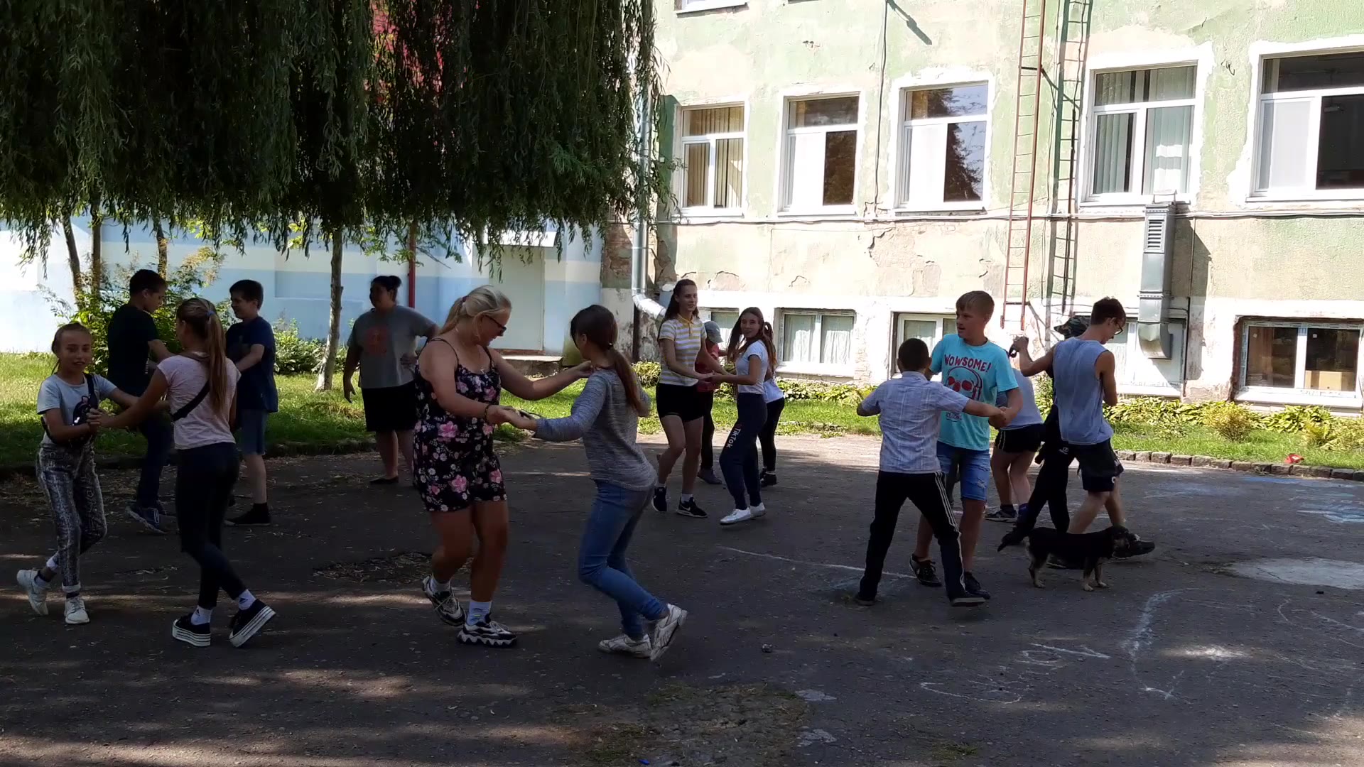 Видео от 19.08.2020