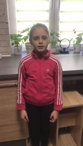 Архивное видео №203